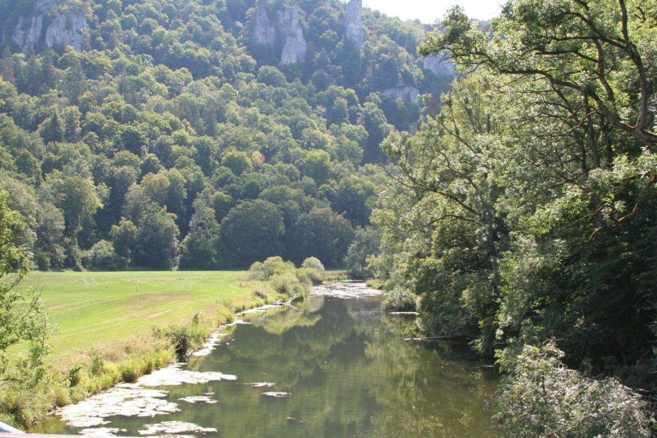 Hotel Gästehaus Theresia Garni Muhlheim an der Donau Exterior foto
