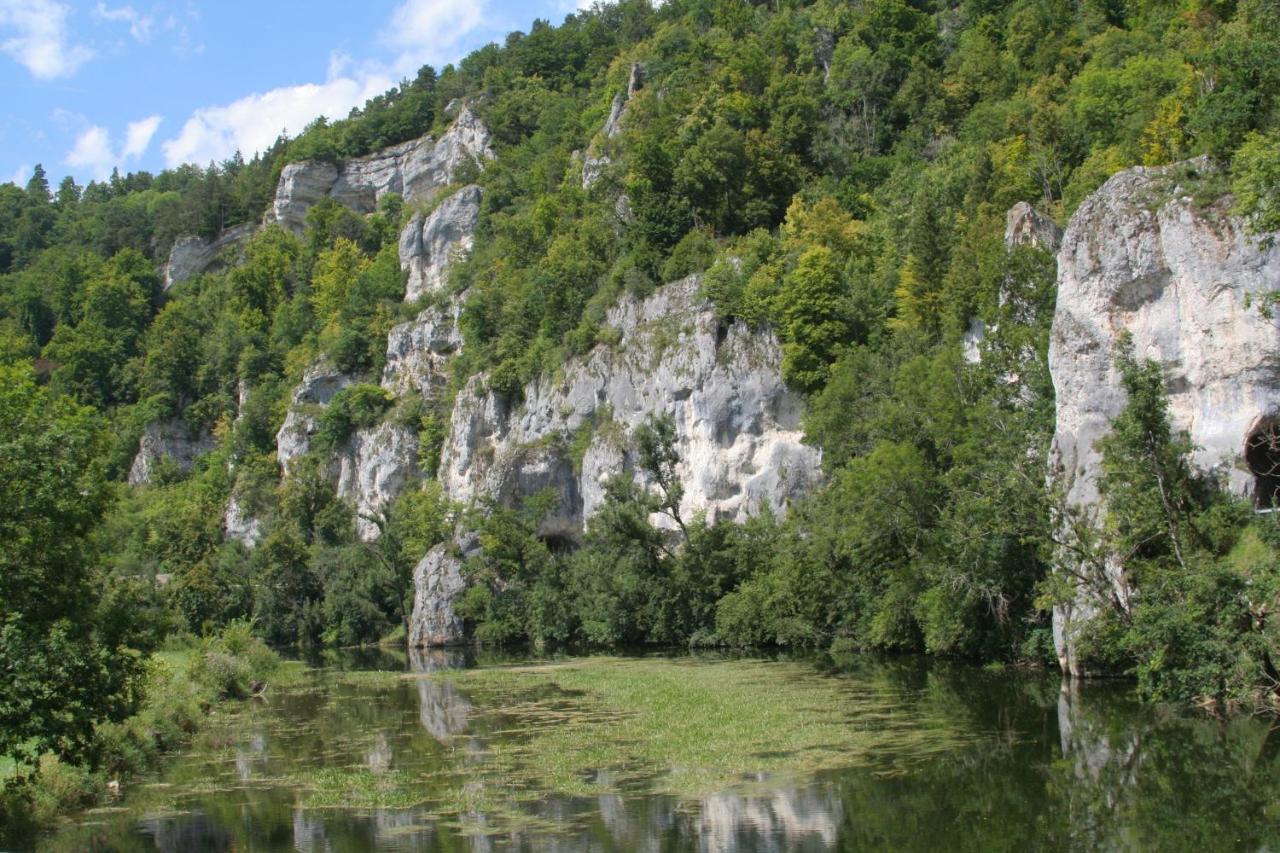 Hotel Gästehaus Theresia Garni Muhlheim an der Donau Exterior foto